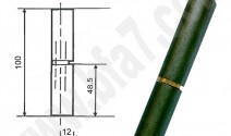 FAU10100