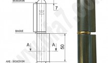 FAU50101