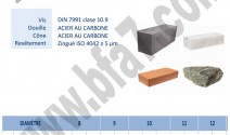 IND508060