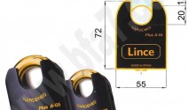 LIN591300